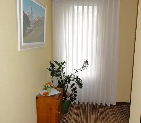 호텔 City 체르마트